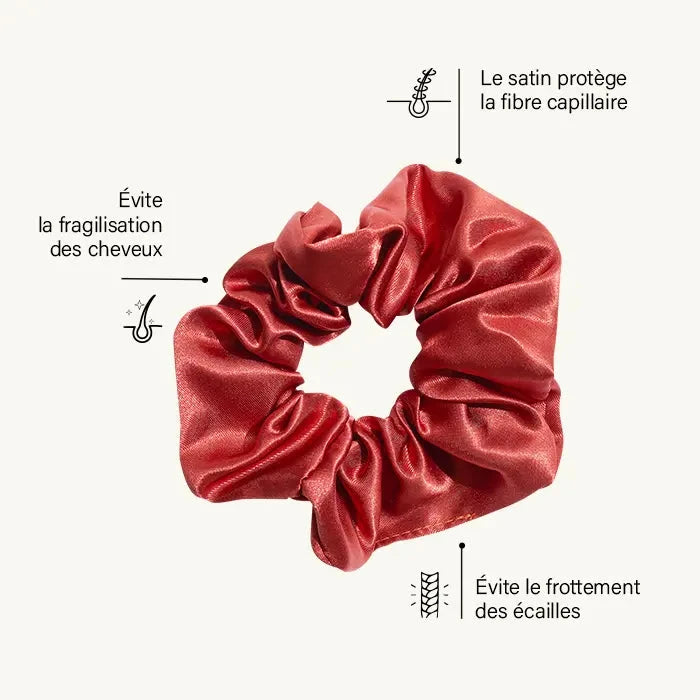 Satin Hair Scrunchies | Accessories